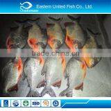 Chinese Sea Export Fresh Seafood thumbnail-1