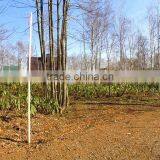 St Moritz Land H thumbnail-1