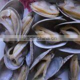 FROZEN COOKED WHOLE BROWN CLAM HIGH QUALITY PRODUCT thumbnail-2