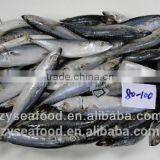Cheap Price Frozen Atlantic Mackerel thumbnail-1