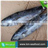 Carton or Woven Bag Packed Without Faure Marin China Manufacturer Bonito thumbnail-6