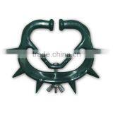 Calf Rearing thumbnail-1