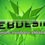 Admirable Look Website Design