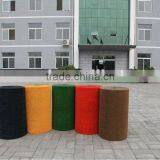 Fine Gold-rush Grass thumbnail-1