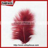 Wholesale Natural Decorative Dyed Down Turkey Feather for Sale thumbnail-4