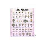 Sell Shell Buttons (Marten's Pearl Oyster) thumbnail-1