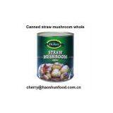 Canned Straw Mushroom Whole From Factory Directly thumbnail-1