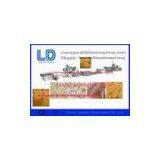 Puffed Food / Breakfast Cereals 3D Snack Pellet Machinery , 100kg/h - 300kg/h