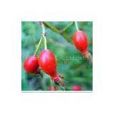 Red Raspberry Powder thumbnail-1