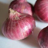 Wholesale New Fresh Red Onion With Good Price thumbnail-3