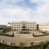 Tianjin United Steel Pipe Co., Ltd company overview - view 1 thumbnail