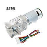 Chihai Motor CHW-GW4058-555 ABHL Hith Torque Max 95w DC 24V dc Worm Gear Motor With Encoder for Parking Lock thumbnail-2