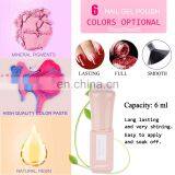 Nail Beauty Care Product 6ml 6 Pieces Nail Gel Polish Set With Gift Box Package thumbnail-4