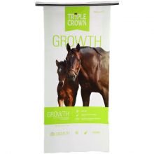 White Portland Cement 42.5 Kraft Paper Valve Bags thumbnail-3