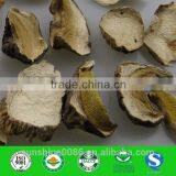 Edulis Porcini Mushrooms Grade AAA Boletes From Yunnan Sunshine Trading Co.,Ltd thumbnail-1
