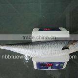 Frozen Spanish Mackerel Supplier