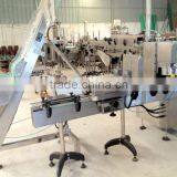 Fully Automatic Capping Machinery Glass Bottle
