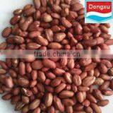 Red Skin Peanut