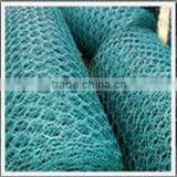 Hexagonal Wire Netting