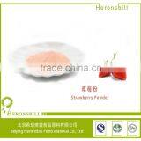 Natural Fruit High Quality Strawberry Fruit Powder thumbnail-2