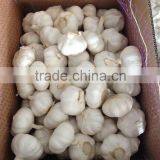 2015 China Garlic Price thumbnail-3