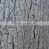 Cork bark tiles / cork bark