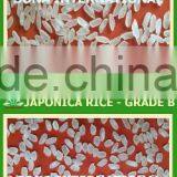 PREMIUM FRAGRANT RICE 5% BROKEN - KDM - LOWEST PRICE - HOT SELLING thumbnail-3