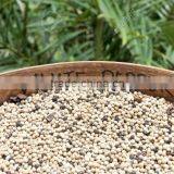 Vietnam Dried White Pepper 630G/L (Viber/Whatsaap: 0084965152844 -Ms.Emma) thumbnail-1