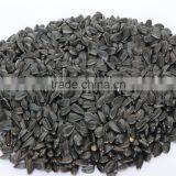 Chinese Oil Sunflower Seeds thumbnail-2