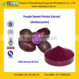 GMP Factory Supply High Quality and Natural Purple Sweet Potato Color