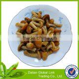 Dalian Nameko Mushroom in Brine