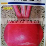 high quality and hot tolerant with good storage hybrid red radish seeds