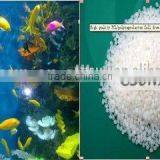 Water Purification Polymer Polycaprolactone for Green Aquarium