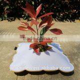 Cheap Small Colorful Plastic Flower Pot thumbnail-2