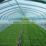 Vegetable Greenhouse Polycarbonate Sheet Fim thumbnail-2