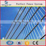 Ornamental Beautiful Many Color Double Wire Mesh for Fence/twin Wire Mesh thumbnail-5