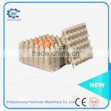 Paper Mold Pulp Egg Tray Packaging thumbnail-2