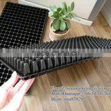 288 Cell Thermoforming Process Plastic Flower Nursery Seedling Germination Tray for Seed Propagation thumbnail-5