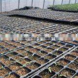 China Factory Price Discount Black Plastic Rice Seeding Tray thumbnail-4