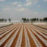 Transparent High Quality Low Price Agricultural Mulch Film With Holes thumbnail-1