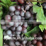 Artificial Plastic Grape Fruit Products Simulated Grape thumbnail-2