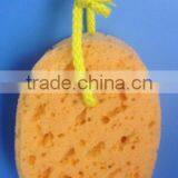 Natural Seaweed Bath Sponge/ Algae Bath Sponge With a Suction Cup thumbnail-2