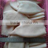 Frozen Fresh New Produced U5 Squid Tube thumbnail-4