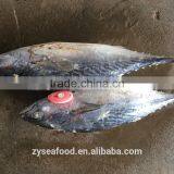Ready Stock Land Frozen Bonito 700g up thumbnail-1