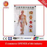 Acupuncture Points Charts Wall Form 7 Pages Paper (47cmX66cm) Meridian Chart Acupoint thumbnail-1