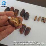 Date Cleaning Machine Date Washing Machine Date Clean Machine Date Washer Machine thumbnail-2