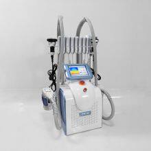 New Frozen Weight Loss 2021 New Product Frozen Fat Thawing Machine Weight Loss Slimming Machine