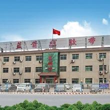 Hebei Lanjian Rubber Belts Co.,ltd company overview - view 1 thumbnail