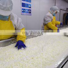 IQF Onion Diced 10*10mm/5*5mm thumbnail-3