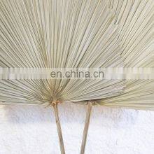 !00% Nature Cheap in Bulk Palm Leaf Fan Wall Art Traditional Woven Decoration Best Price Wholesale thumbnail-2